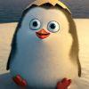 奇怪的企鹅了解真相