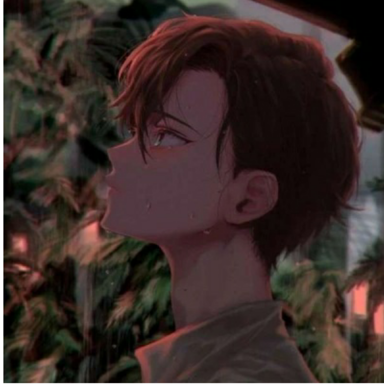 诺怡