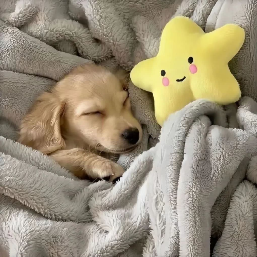 神明不奔我而来.