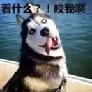 愿你所爱之人也刚好愛你ღ