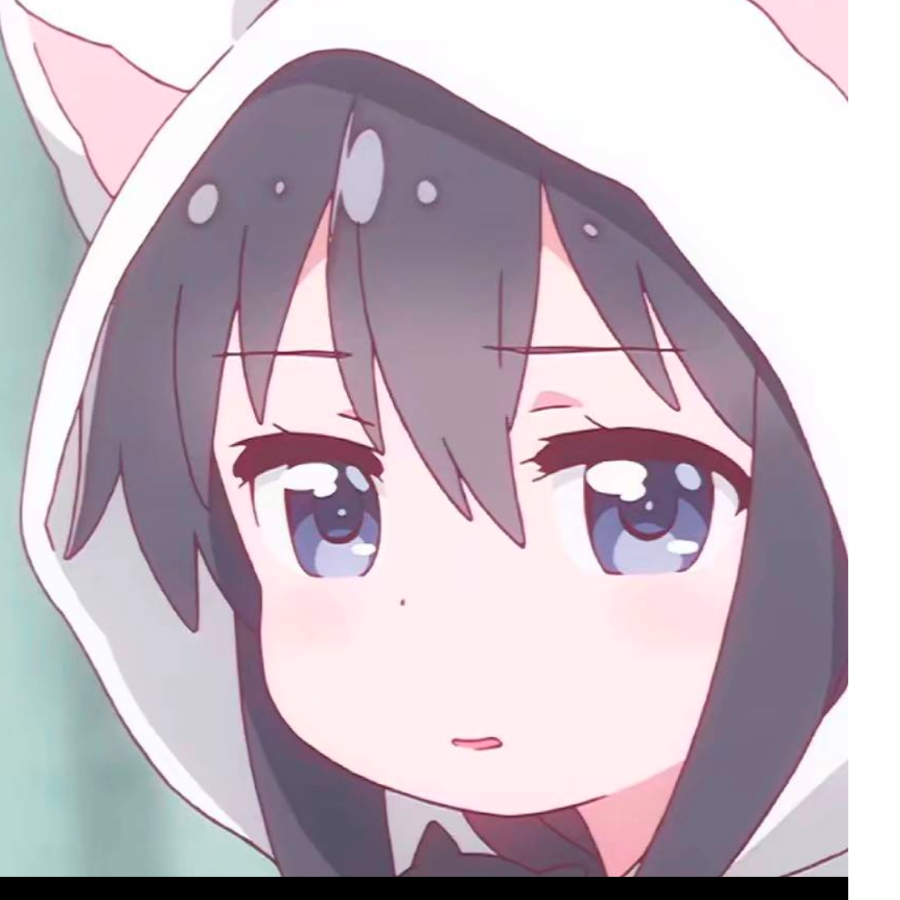 阿呆ProMax
