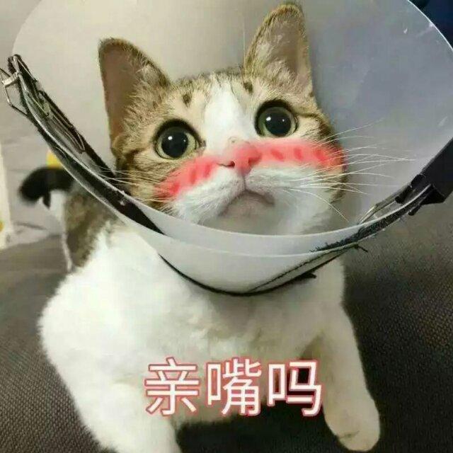 唐十贰