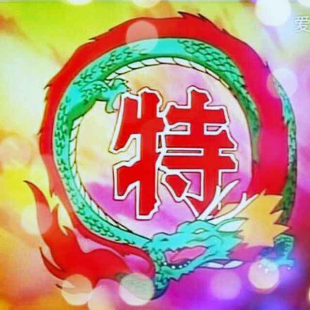 中华二当家