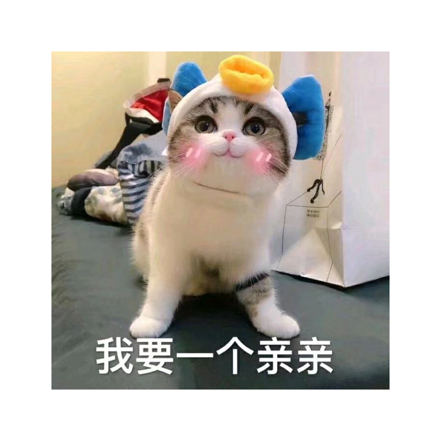 是你的小核桃啊