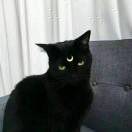 ulquiorrA