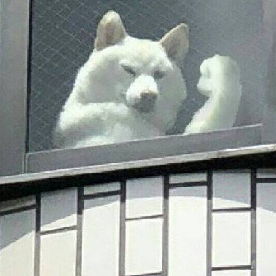 吃午饭了吗