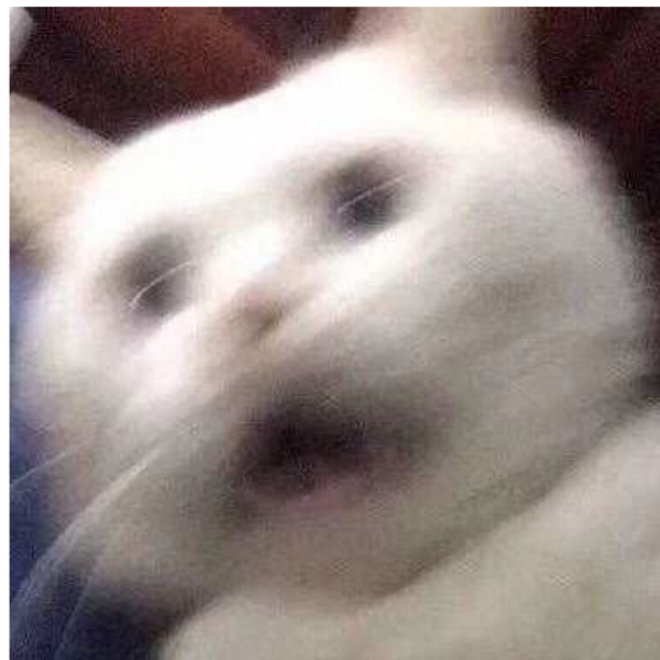 摇铃换白鹿