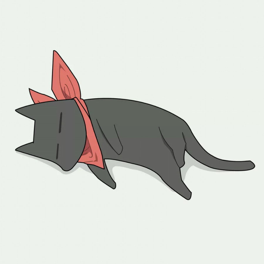 漂泊