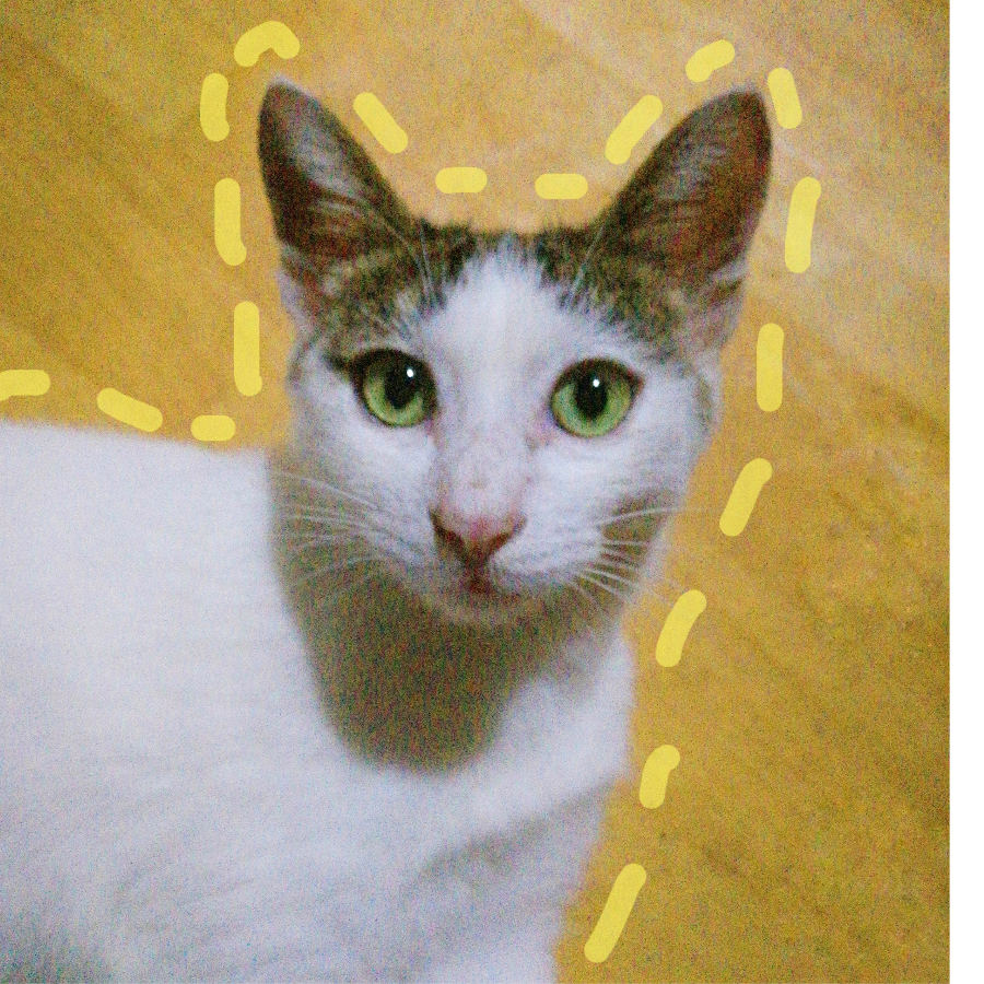 christine