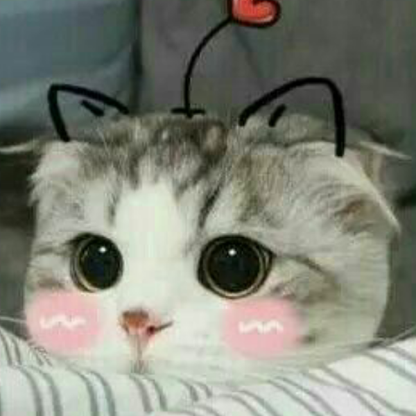 八十一。