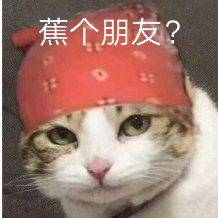 雾胧
