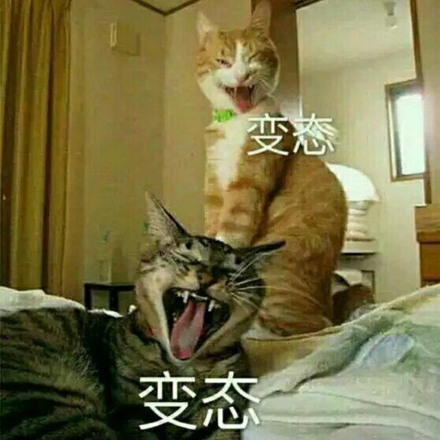 。