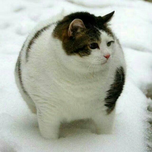 小君╮(╯▽╰)╭
