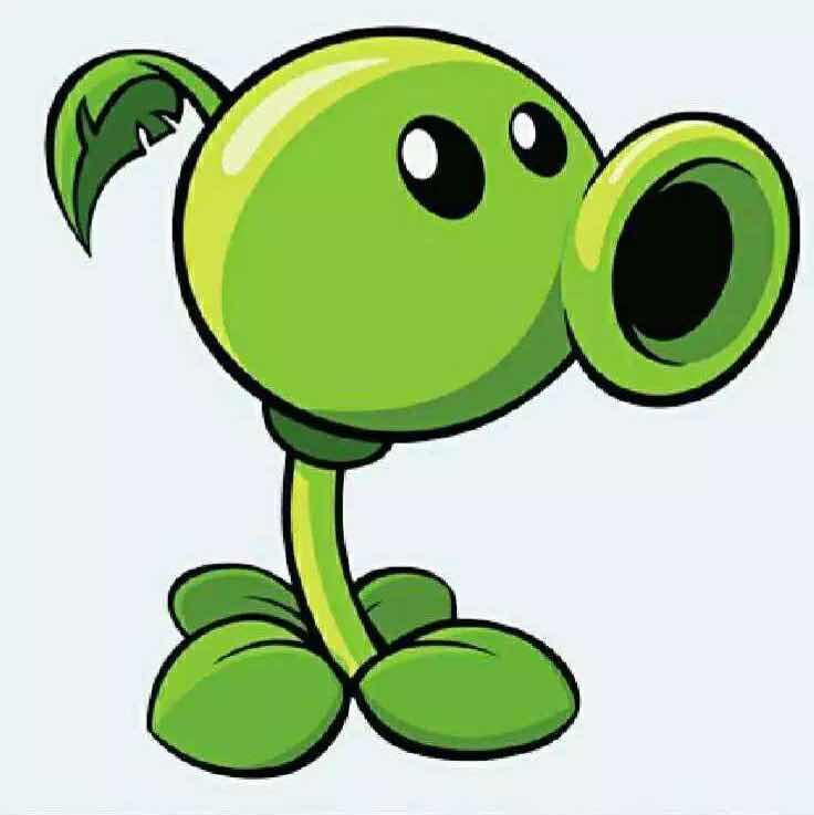 🎾🎾🎾🎾🎾🎾🙀