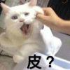 伐开心  (σ′▽‵)′▽‵)
