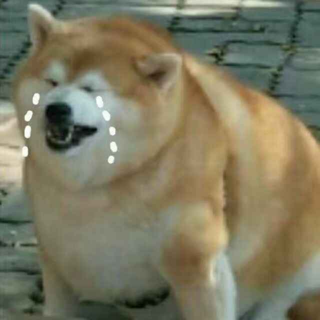 扎提