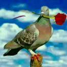 User35754701