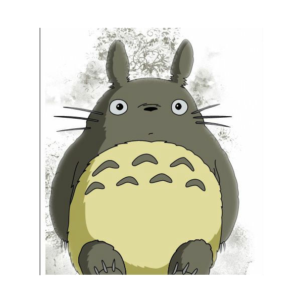 猫和狗都可爱