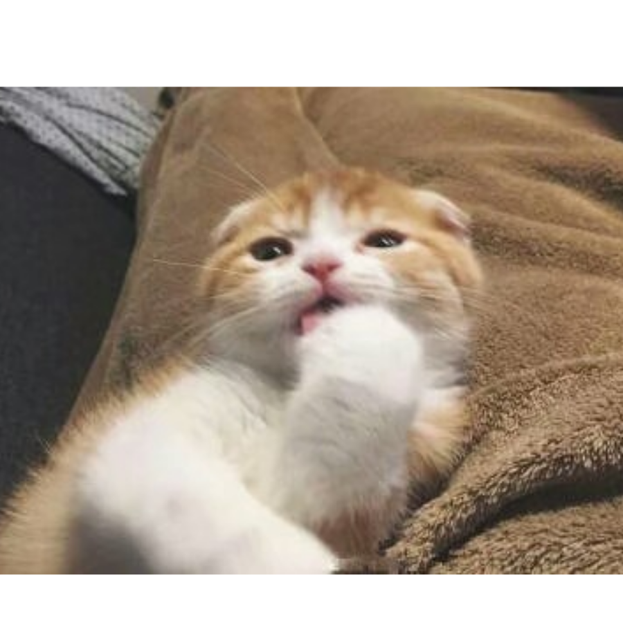 C.