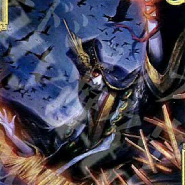 贾诩先生