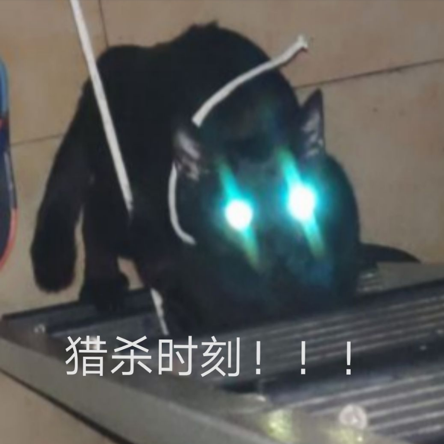 关山魂梦长