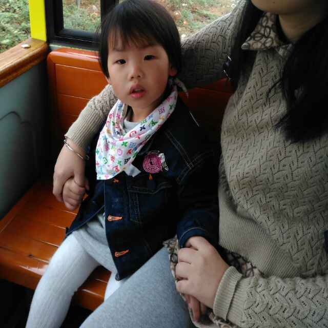 金鑫