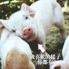 柯