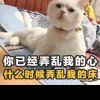 后知、后觉