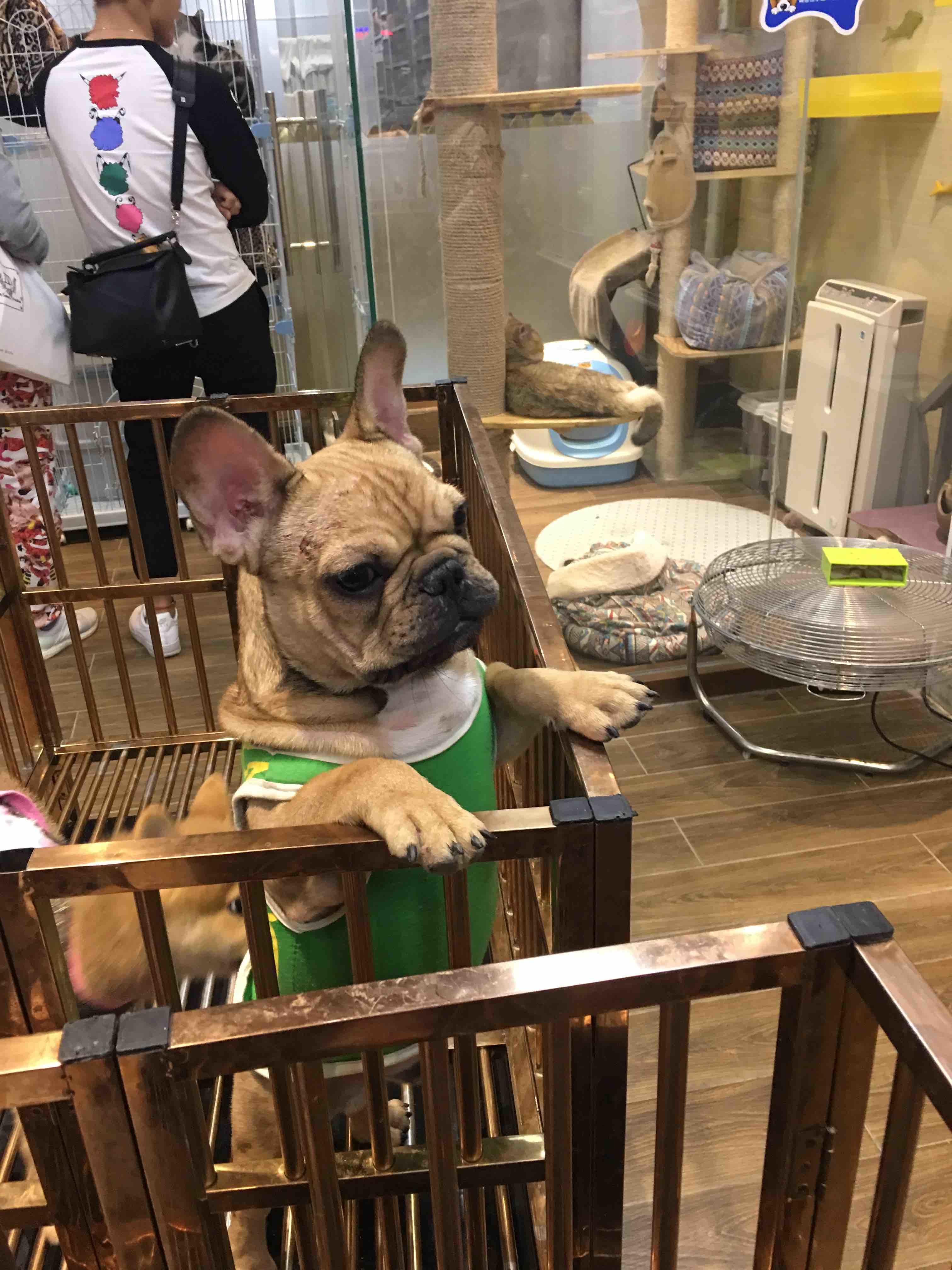 我们的歌