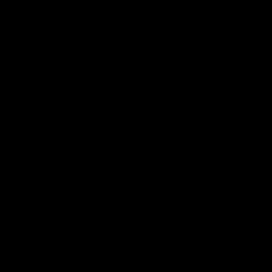 C.