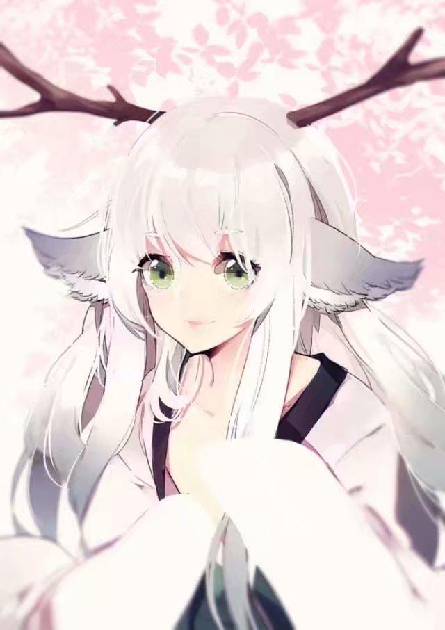 冷风软