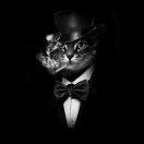 逍遥自在迷人可爱