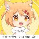 索半斤