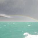 🙈 马猴烧酒~biu消失了