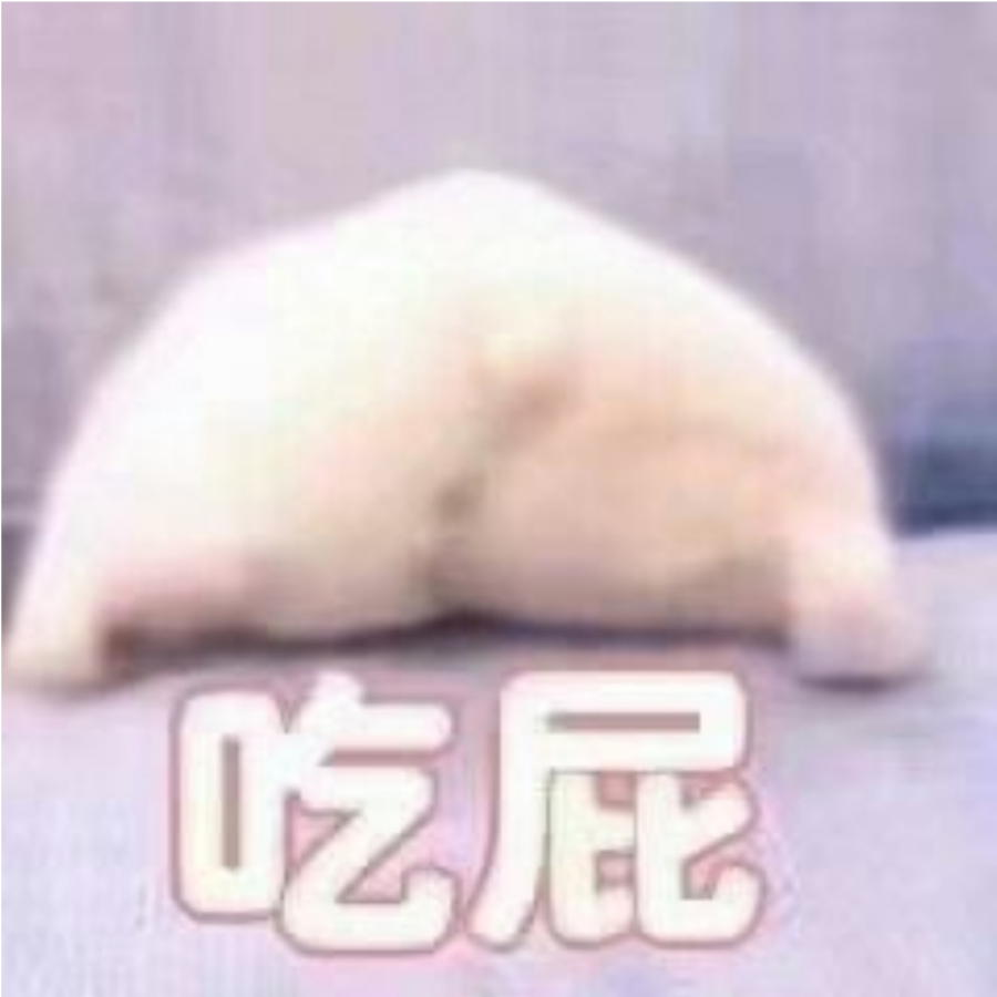 九五二十八