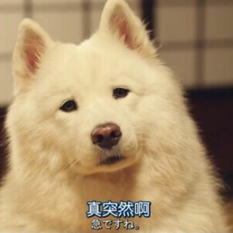 沙耶