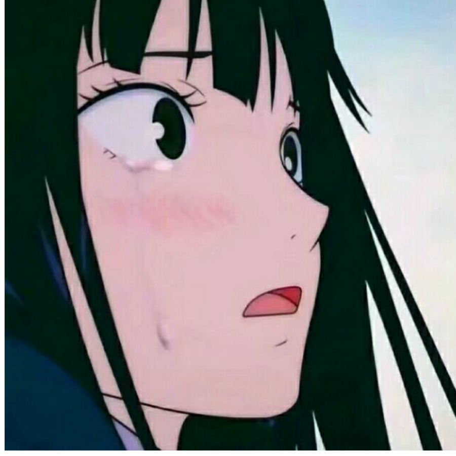 汛狗狗