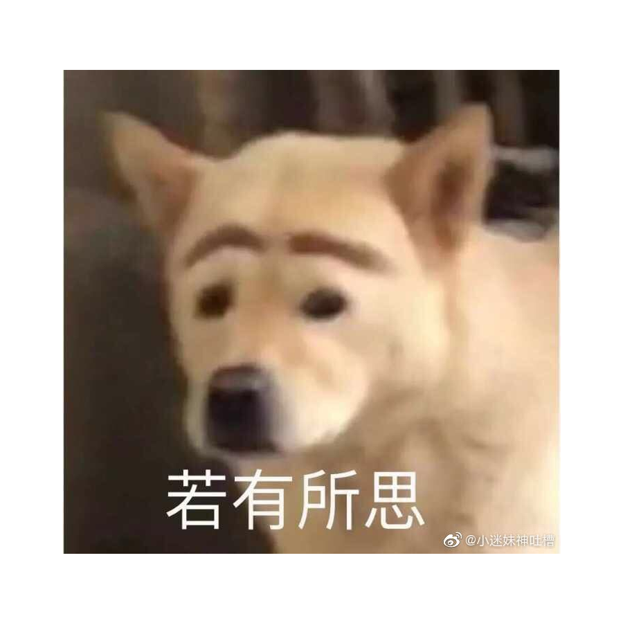 欧洲狗