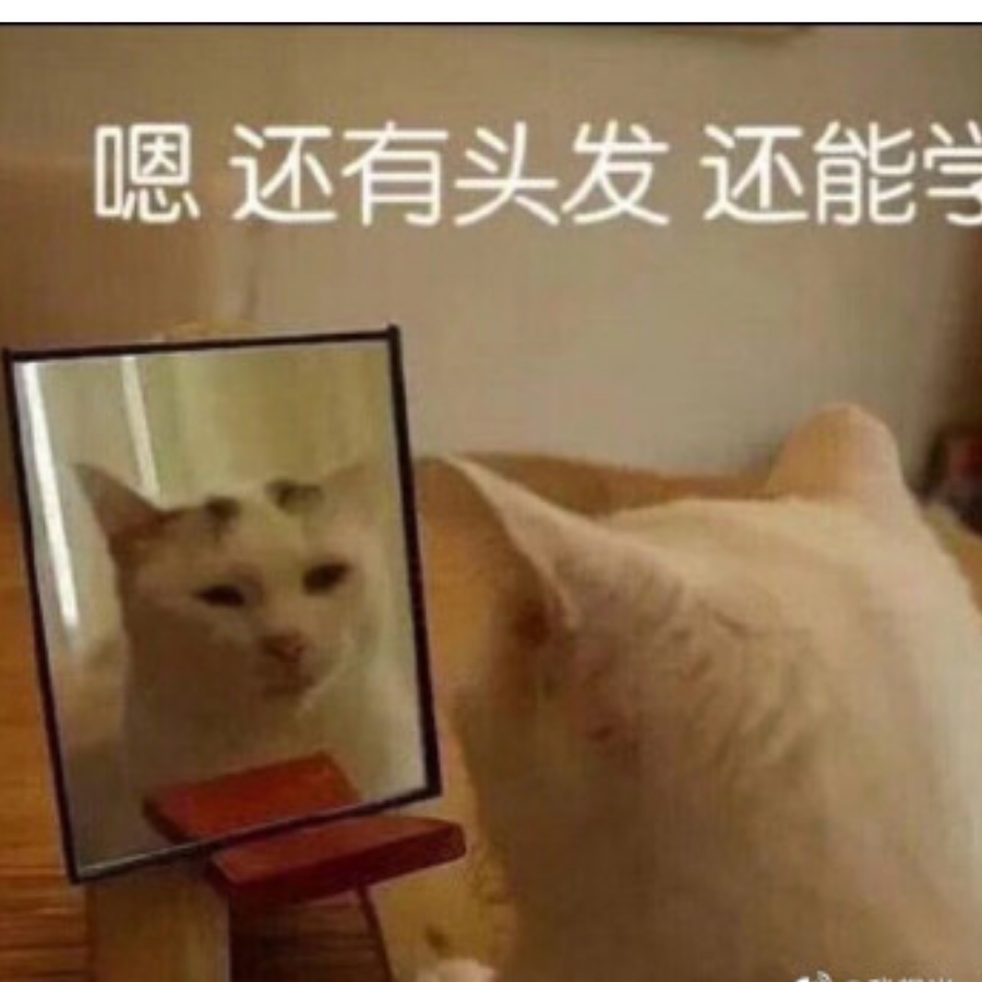 小萌萌