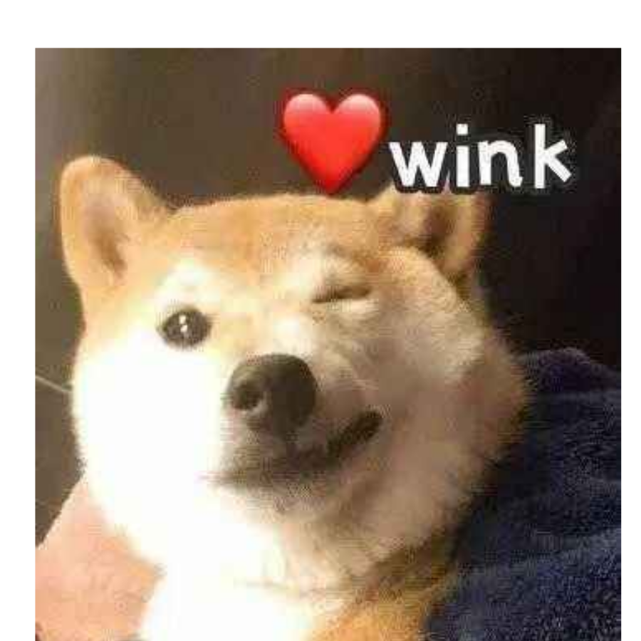 独偶