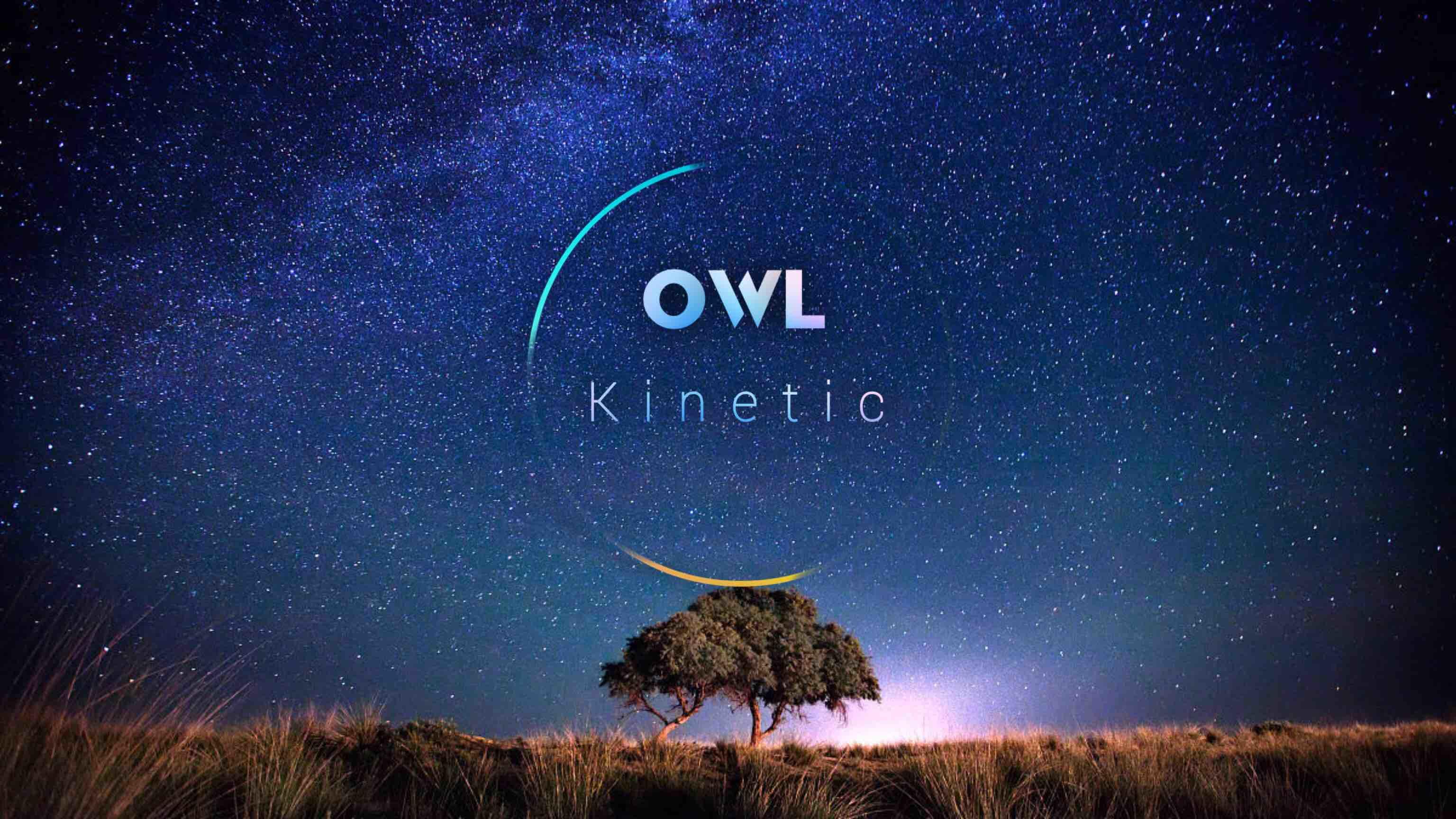 Owlkinetic