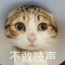 胖了两斤很开心