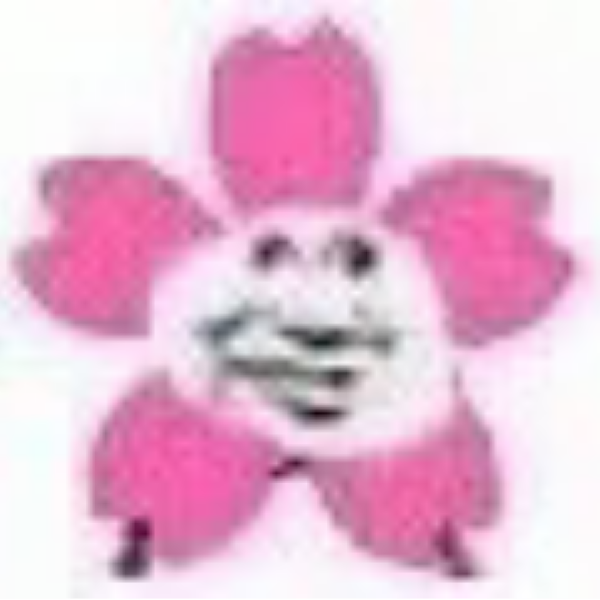 班花