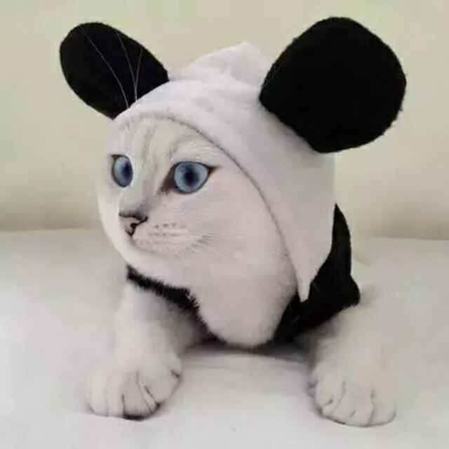 重拳出击