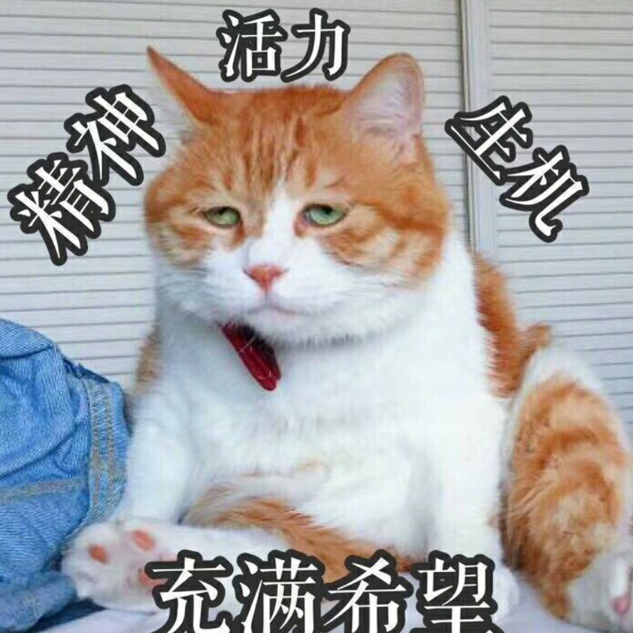 野猫茶