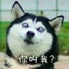 懵圈……