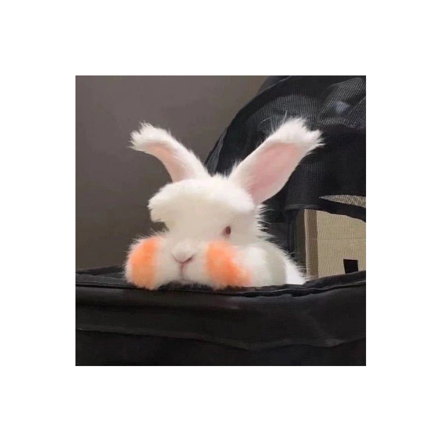如蕤