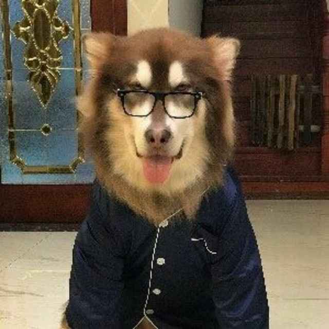 倒霉孩子