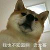 A“阿豪🔥