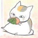 小甲鱼呀